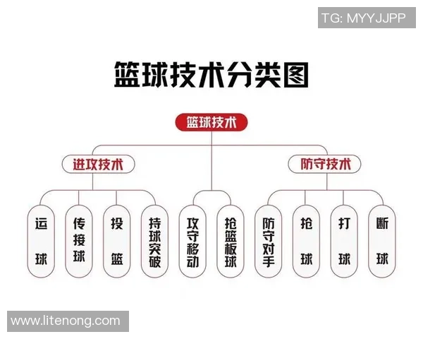 探讨篮球技战术演变及其对现代比赛风格与球员培养的深远影响发展趋势