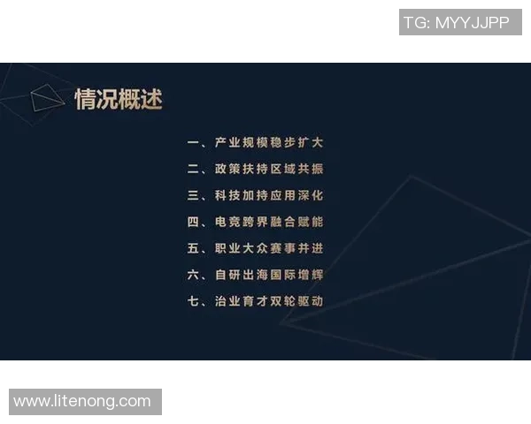 电竞产业蓬勃发展与未来趋势分析：从竞技赛事到全球化商业化路径探讨