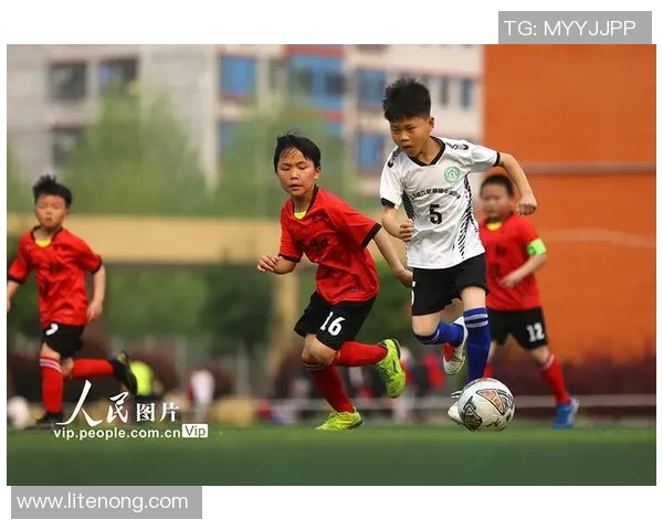 聚焦绿茵英雄全面探寻足球运动员成长奋斗与荣耀之路历程故事篇章