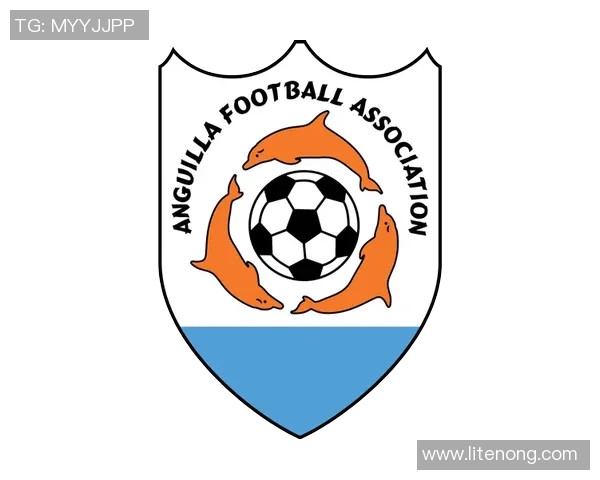 足球的魅力与全球文化交融：探讨足球如何塑造现代社会与全球观念